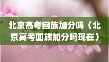 北京高考回族加分吗（北京高考回族加分吗现在）