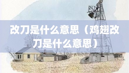 改刀是什么意思（鸡翅改刀是什么意思）