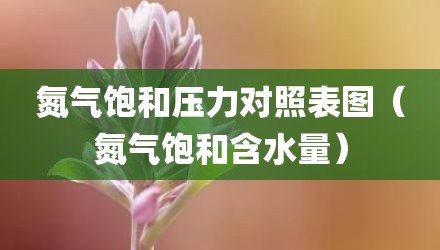 氮气饱和压力对照表图（氮气饱和含水量）