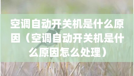 空调自动开关机是什么原因（空调自动开关机是什么原因怎么处理）