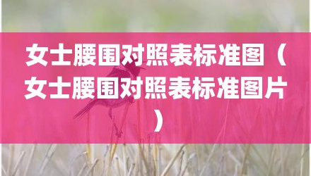 女士腰围对照表标准图（女士腰围对照表标准图片）