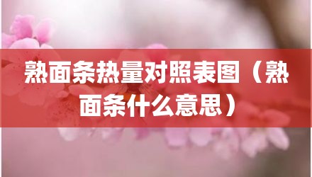 熟面条热量对照表图（熟面条什么意思）
