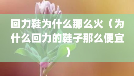 回力鞋为什么那么火（为什么回力的鞋子那么便宜）
