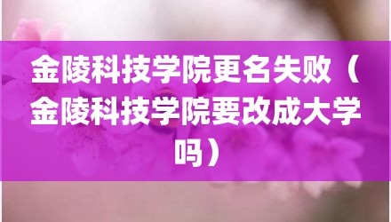 金陵科技学院更名失败（金陵科技学院要改成大学吗）