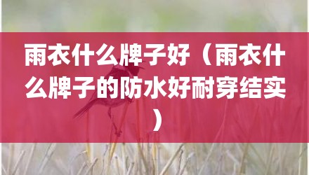雨衣什么牌子好（雨衣什么牌子的防水好耐穿结实）