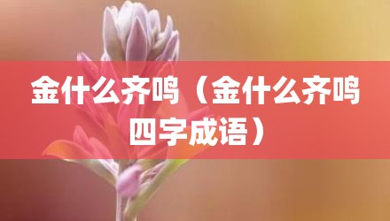 金什么齐鸣（金什么齐鸣四字成语）