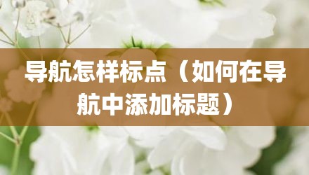 导航怎样标点（如何在导航中添加标题）