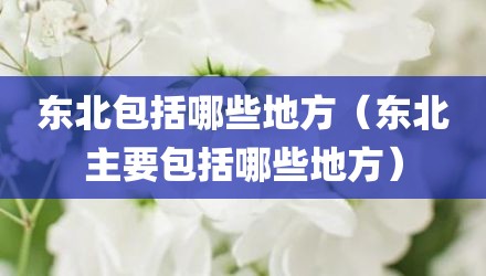 东北包括哪些地方（东北主要包括哪些地方）