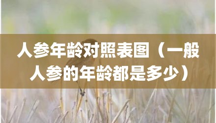 人参年龄对照表图（一般人参的年龄都是多少）