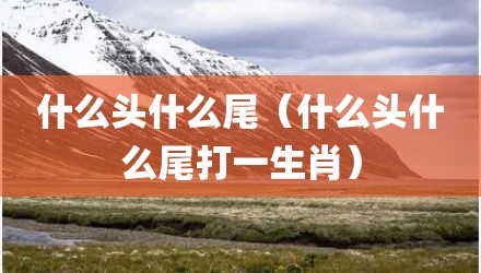 什么头什么尾（什么头什么尾打一生肖）