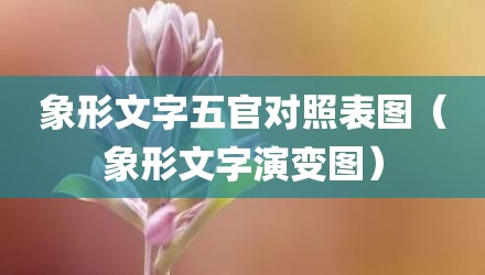象形文字五官对照表图（象形文字演变图）