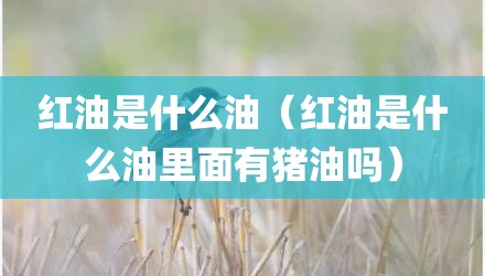 红油是什么油(红油是什么油里面有猪油吗)