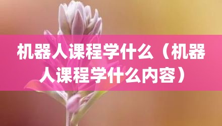 机器人课程学什么（机器人课程学什么内容）