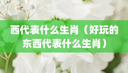 西代表什么生肖（好玩的东西代表什么生肖）