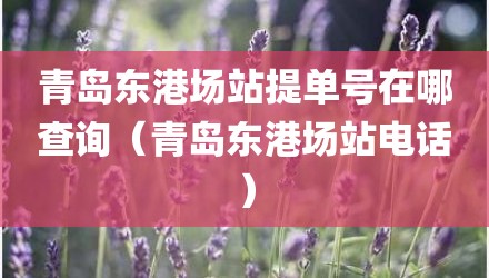青岛东港场站提单号在哪查询（青岛东港场站电话）