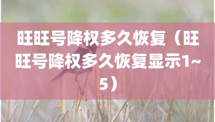 旺旺号降权多久恢复（旺旺号降权多久恢复显示1~5）