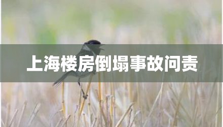 上海楼房倒塌事故问责
