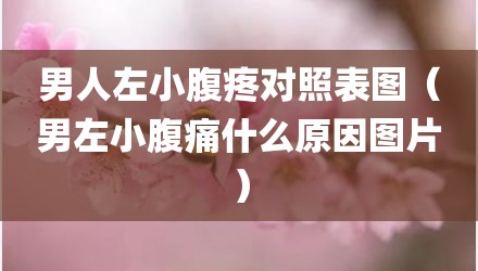 男人左小腹疼对照表图（男左小腹痛什么原因图片）