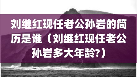 刘继红现任老公孙岩的简历是谁(刘继红现任老公孙岩多大年龄?)