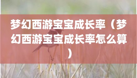 梦幻西游宝宝成长率（梦幻西游宝宝成长率怎么算）