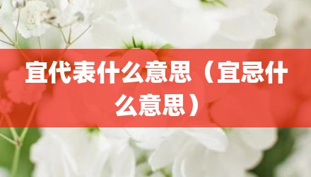 宜代表什么意思（宜忌什么意思）