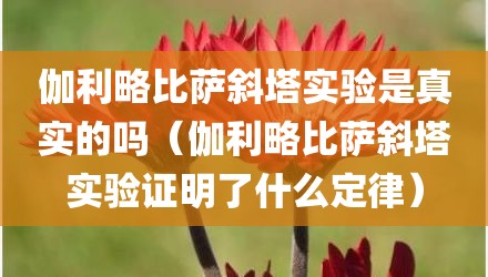 伽利略比萨斜塔实验是真实的吗(伽利略比萨斜塔实验证明了什么定律)