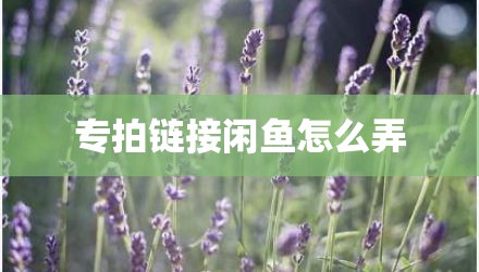 专拍链接闲鱼怎么弄