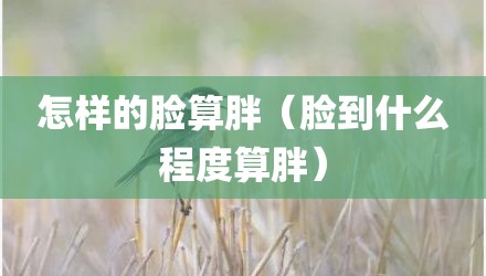 怎样的脸算胖（脸到什么程度算胖）