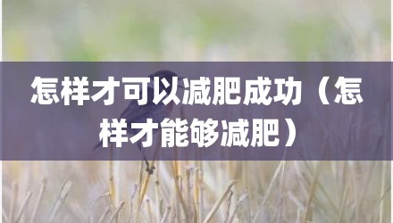 怎样才可以减肥成功（怎样才能够减肥）
