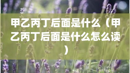 甲乙丙丁后面是什么（甲乙丙丁后面是什么怎么读）