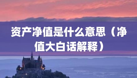 资产净值是什么意思（净值大白话解释）