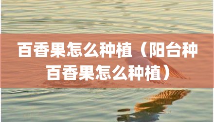 百香果怎么种植（阳台种百香果怎么种植）