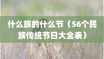 什么族的什么节（56个民族传统节日大全表）