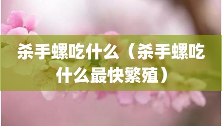 杀手螺吃什么（杀手螺吃什么最快繁殖）
