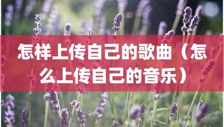 怎样上传自己的歌曲（怎么上传自己的音乐）