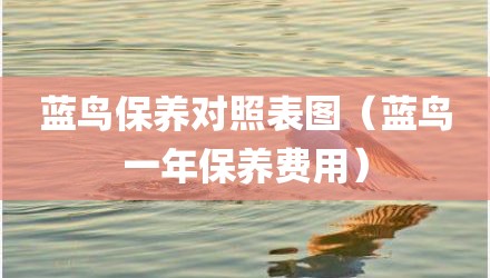 蓝鸟保养对照表图（蓝鸟一年保养费用）