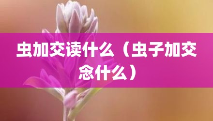 虫加交读什么（虫子加交念什么）