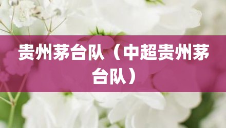 贵州茅台队（中超贵州茅台队）