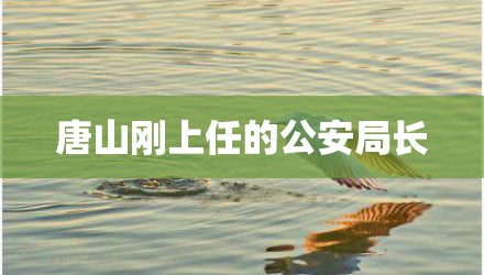 唐山刚上任的公安局长