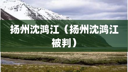 扬州沈鸿江（扬州沈鸿江被判）