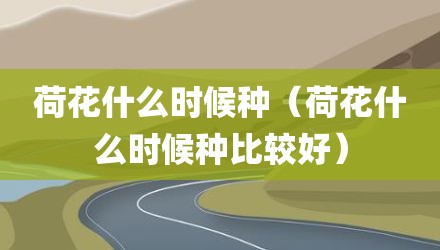 荷花什么时候种（荷花什么时候种比较好）