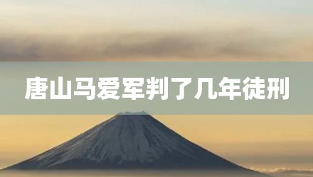唐山马爱军判了几年徒刑