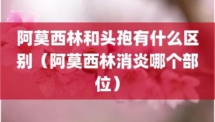 阿莫西林和头孢有什么区别（阿莫西林消炎哪个部位）