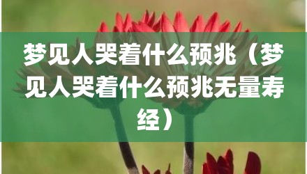 梦见人哭着什么预兆（梦见人哭着什么预兆无量寿经）
