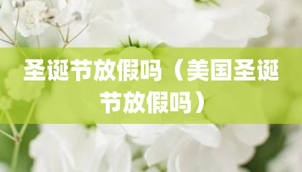 圣诞节放假吗（美国圣诞节放假吗）