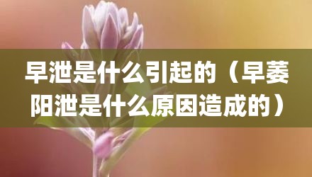 早泄是什么引起的(早萎阳泄是什么原因造成的)