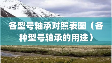 各型号轴承对照表图（各种型号轴承的用途）