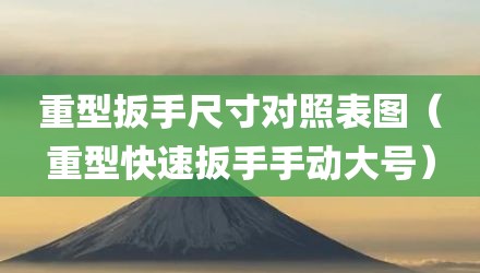 重型扳手尺寸对照表图（重型快速扳手手动大号）