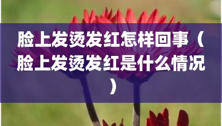 脸上发烫发红怎样回事（脸上发烫发红是什么情况）