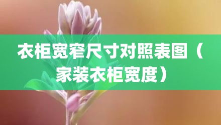衣柜宽窄尺寸对照表图（家装衣柜宽度）
